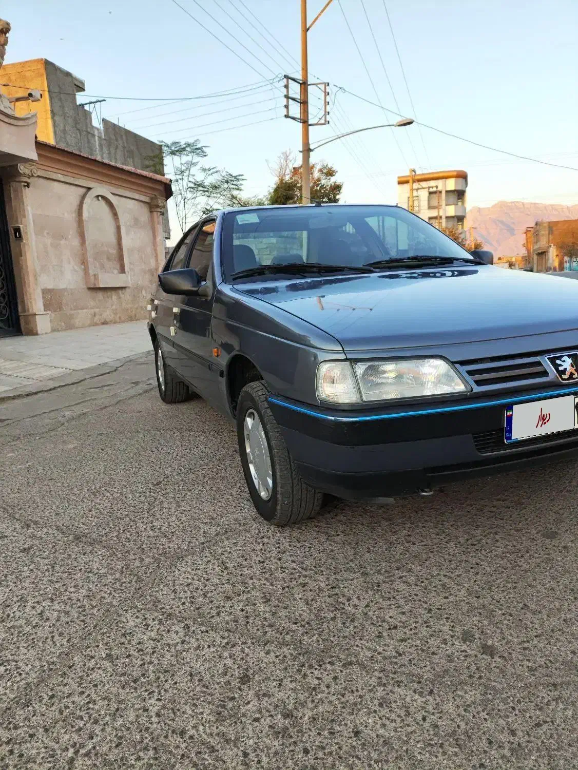 پژو 405 GLX - دوگانه سوز - 1395