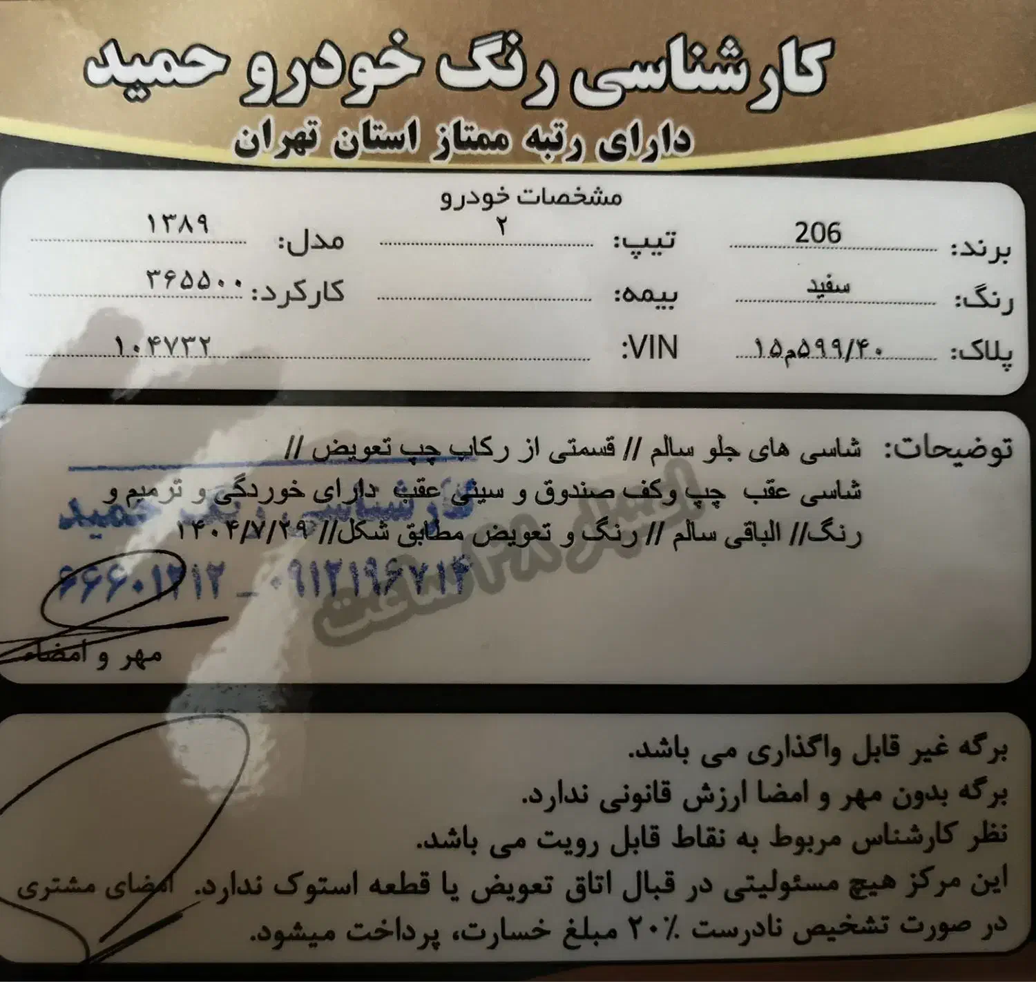 پژو 206 تیپ 2 - 1389