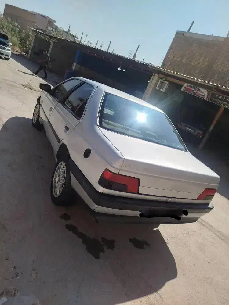 پژو 405 GLX - دوگانه سوز - 1389
