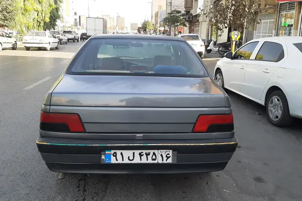 پژو 405 GLX - دوگانه سوز - 1393