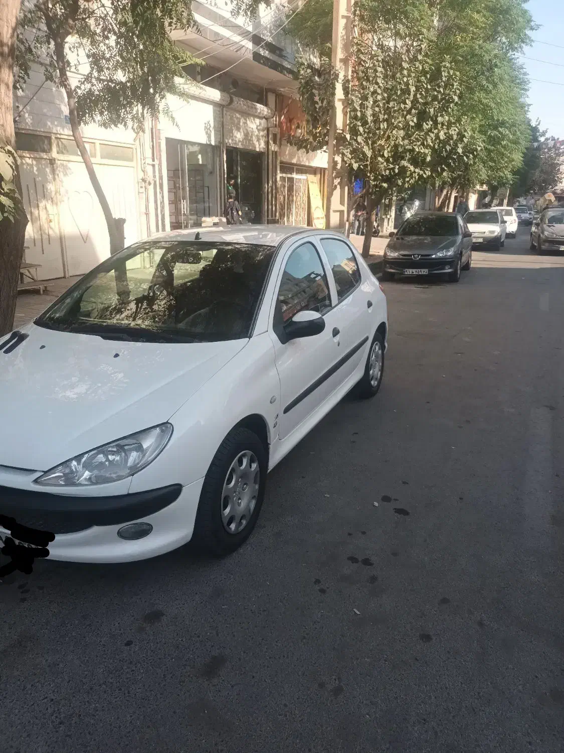پژو 206 تیپ 5 - 1395