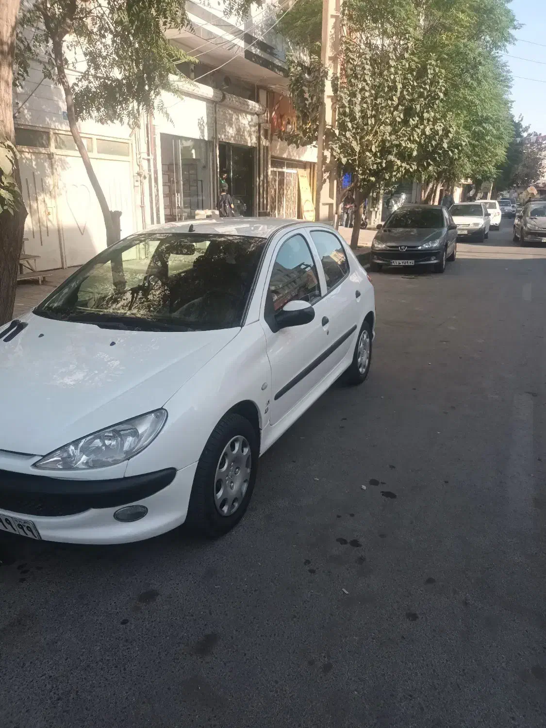 پژو 206 تیپ 5 - 1395