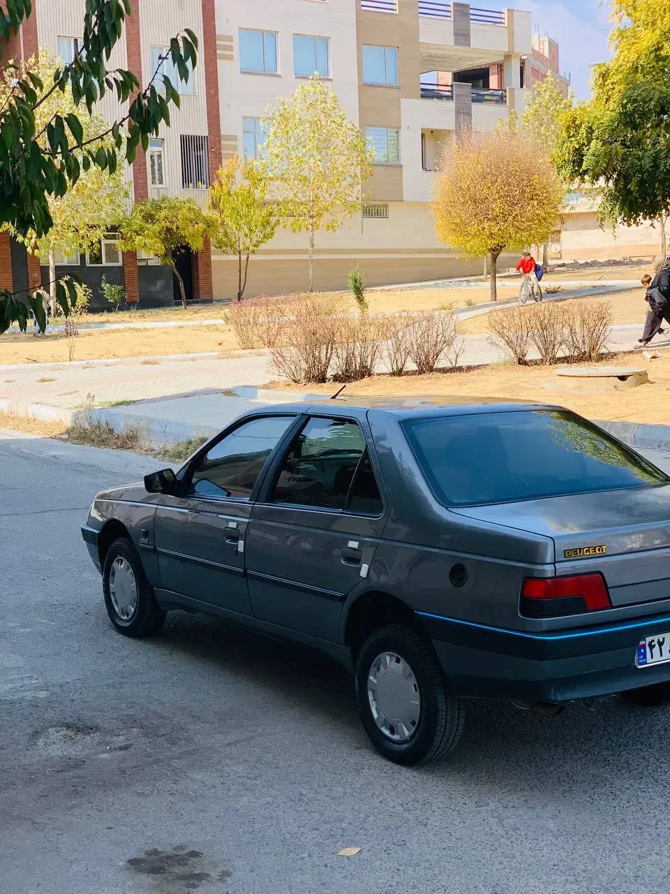 پژو 405 GLX - دوگانه سوز - 1391