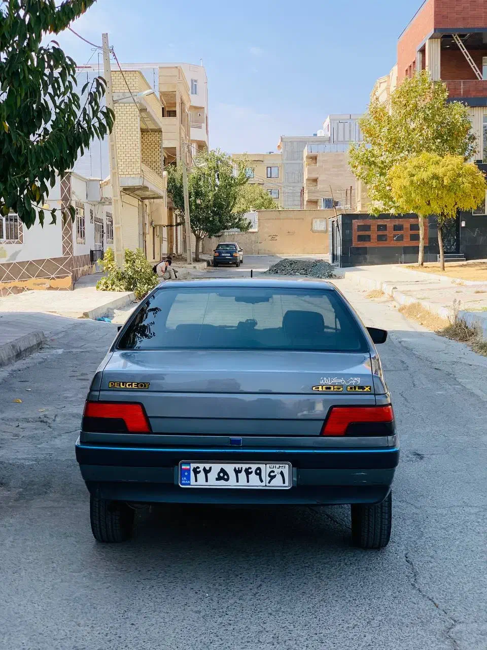 پژو 405 GLX - دوگانه سوز - 1391