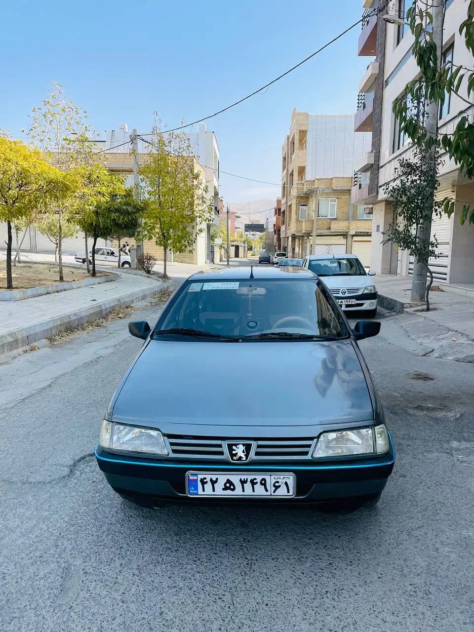 پژو 405 GLX - دوگانه سوز - 1391