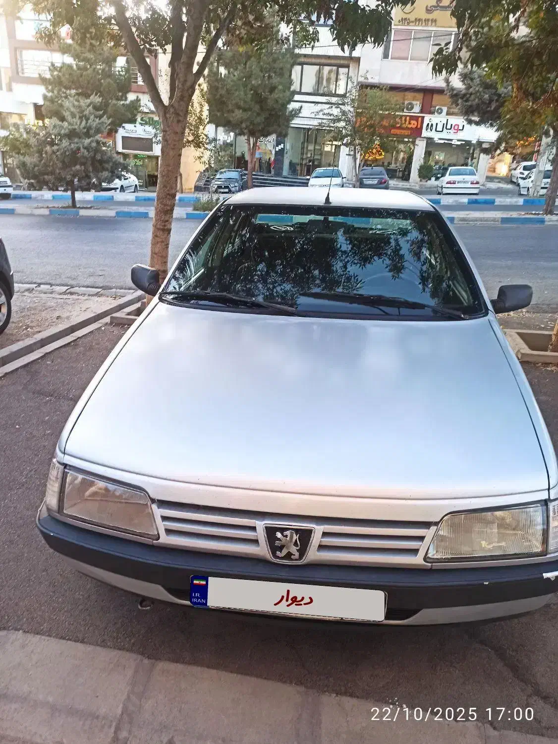 پژو 405 GLX - دوگانه سوز - 1388