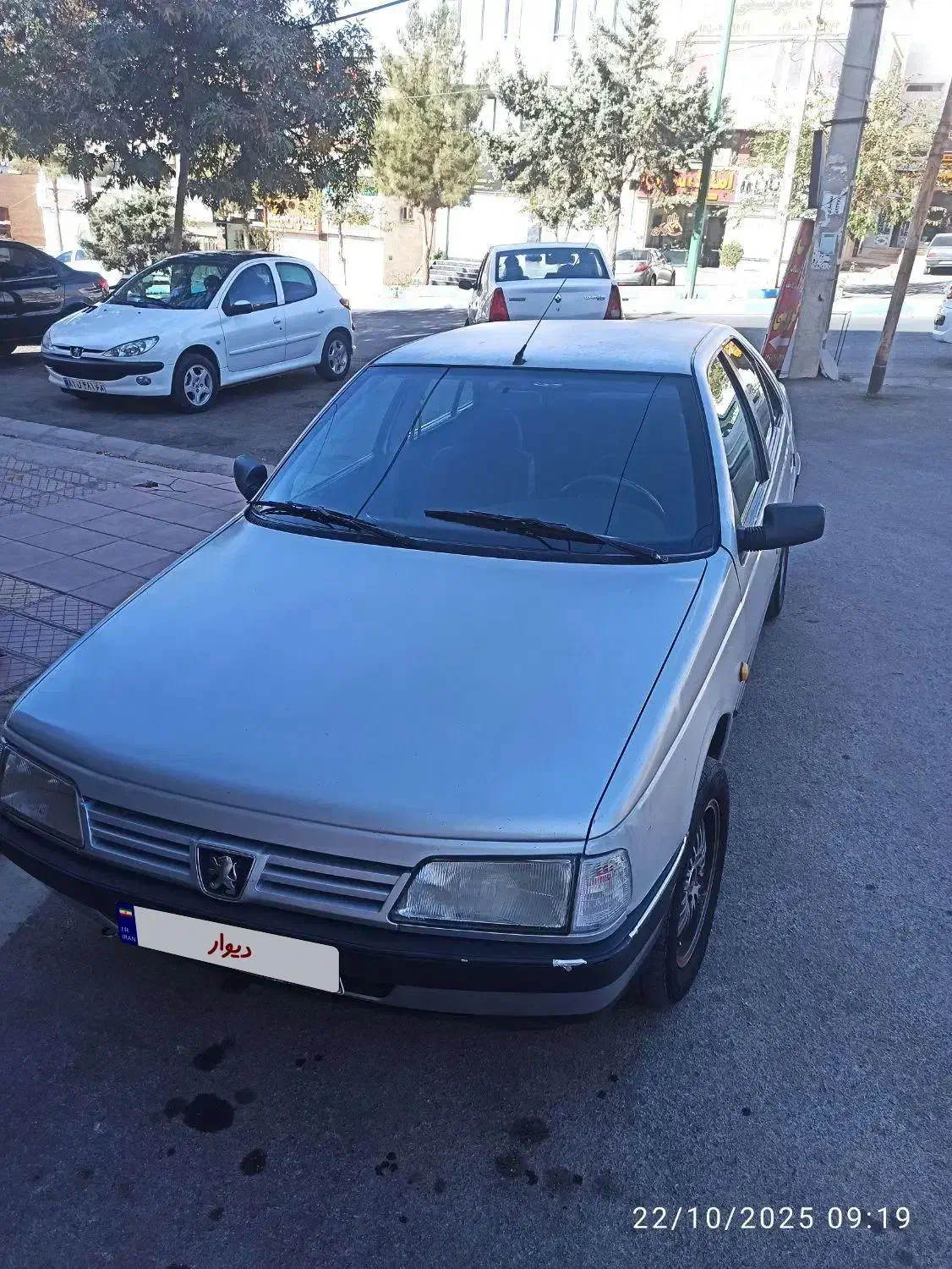 پژو 405 GLX - دوگانه سوز - 1388