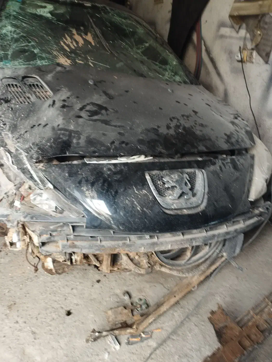 خودرو پژو، 207 آگهی ann_20856354