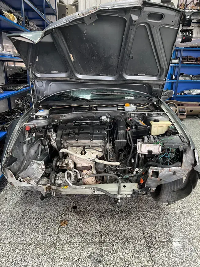 پژو 405 SLX بنزینی TU5 - 1391