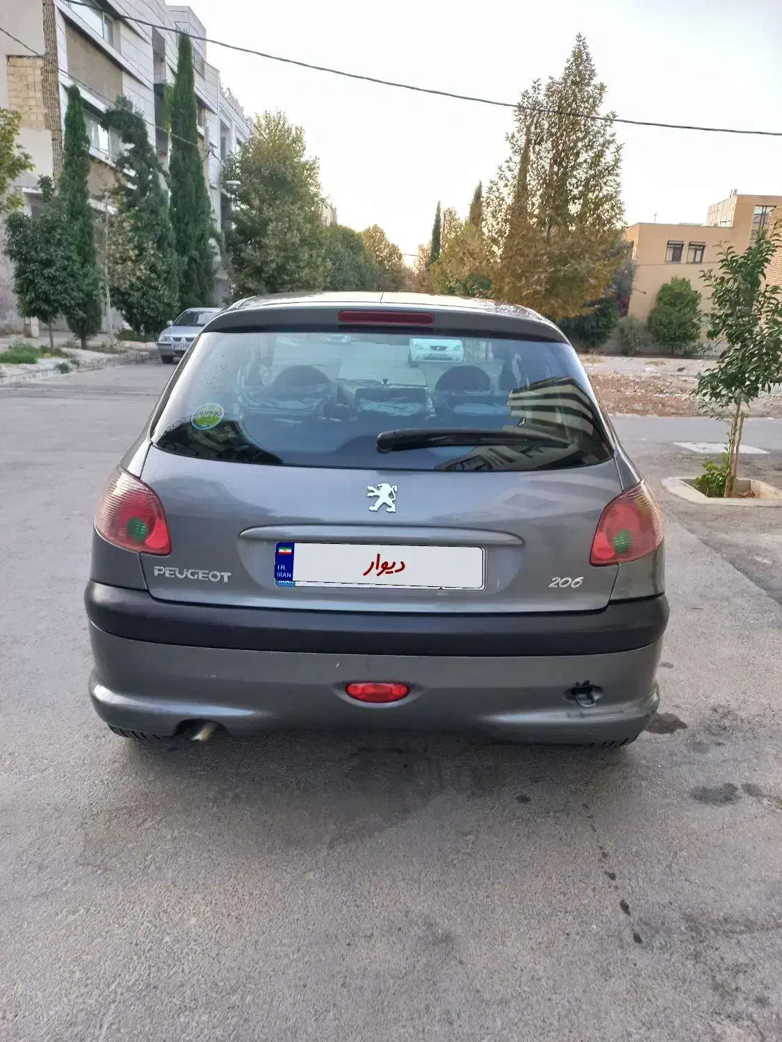 پژو 206 تیپ 2 - 1391