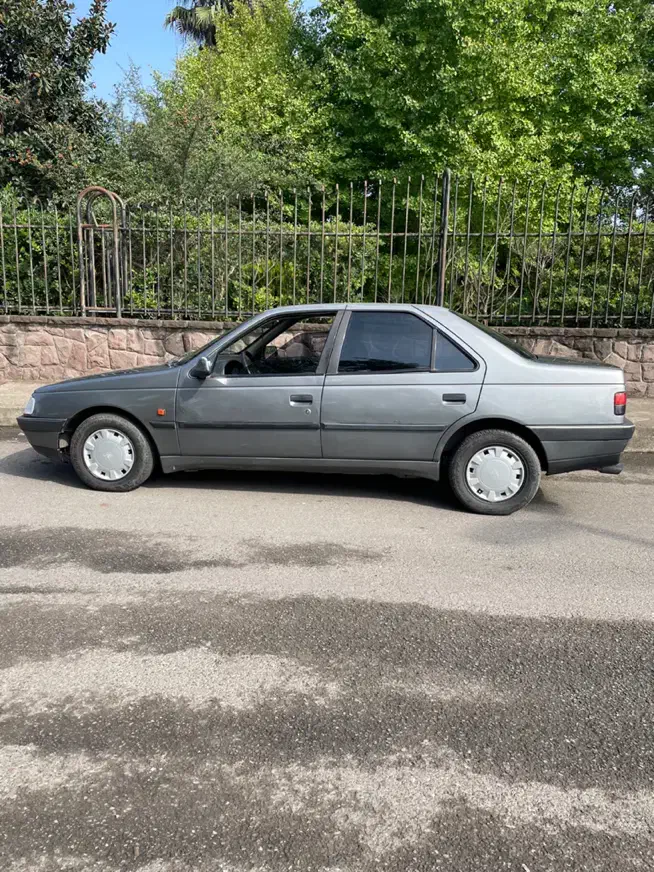 پژو 405 GLX - 1388