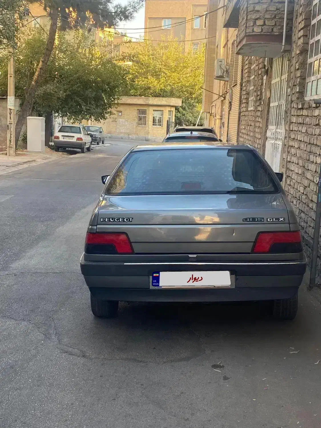 پژو 405 GLX - دوگانه سوز - 1391