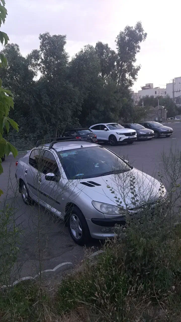 خودرو پژو، ۲۰۶ صندوق دار آگهی ann_20857712