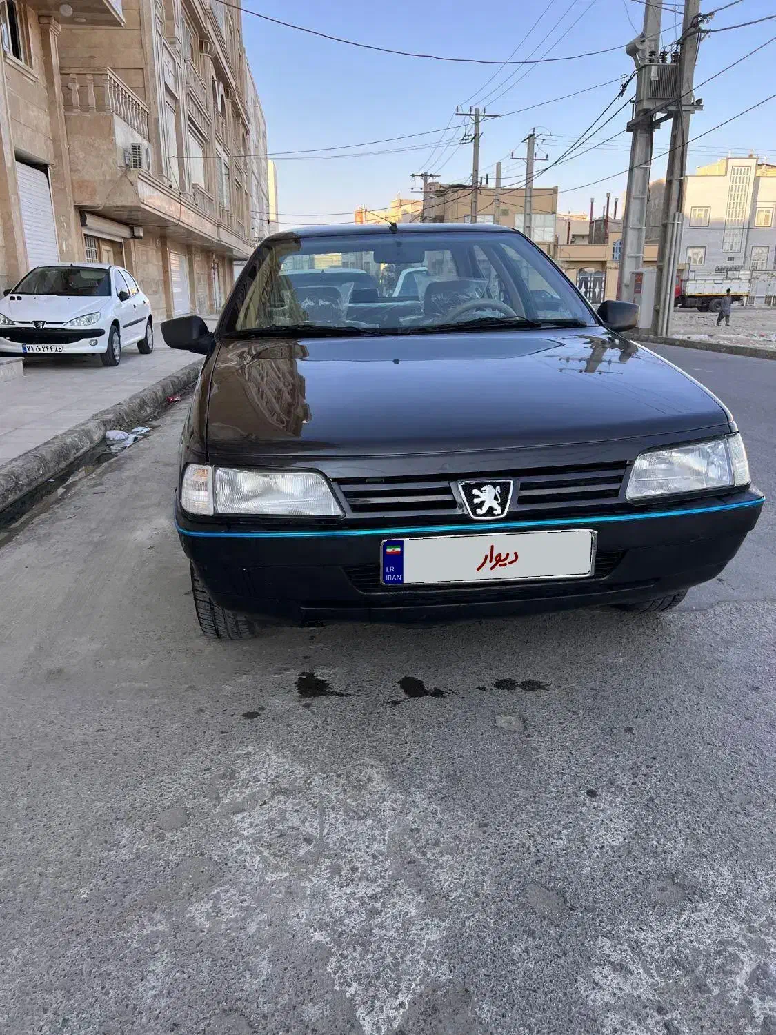 پژو 405 GLX - دوگانه سوز - 1391