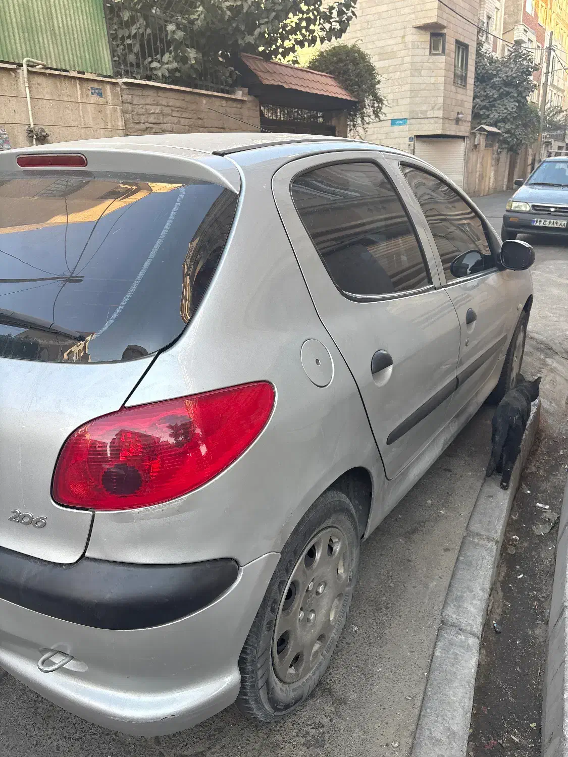 پژو 206 تیپ 5 - 1393