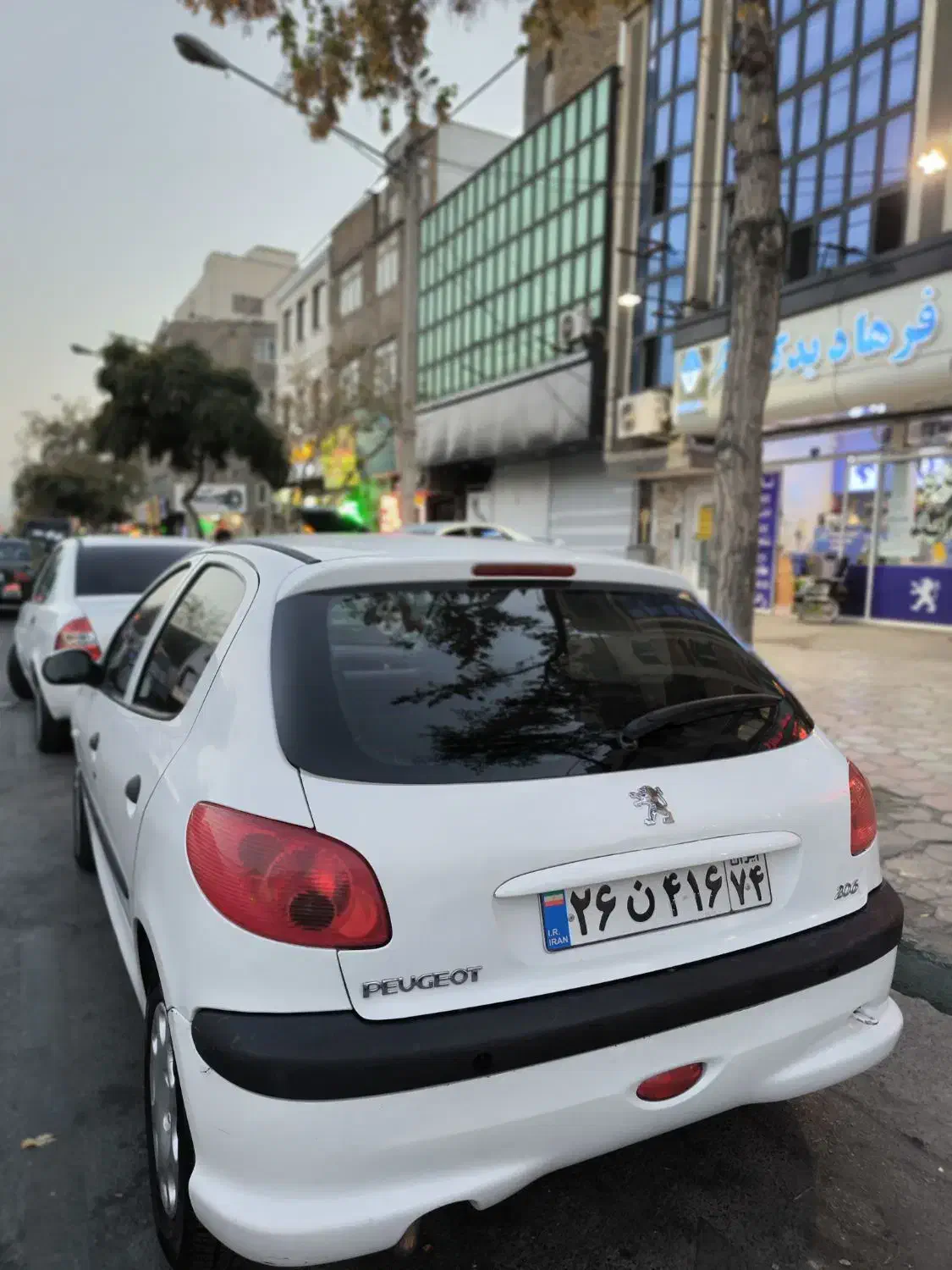 پژو 206 تیپ 2 - 1395