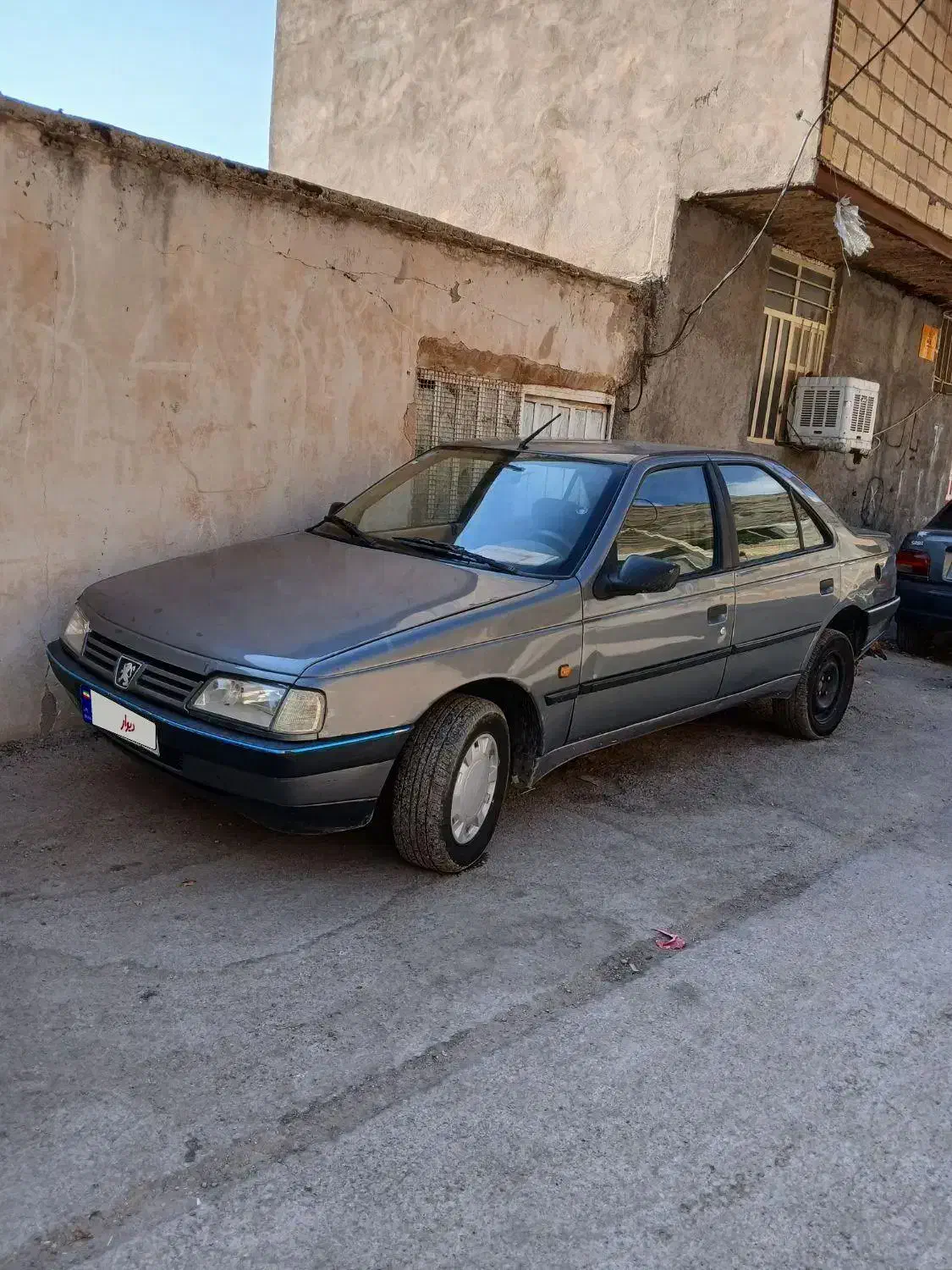 پژو 405 GLX - دوگانه سوز - 1393