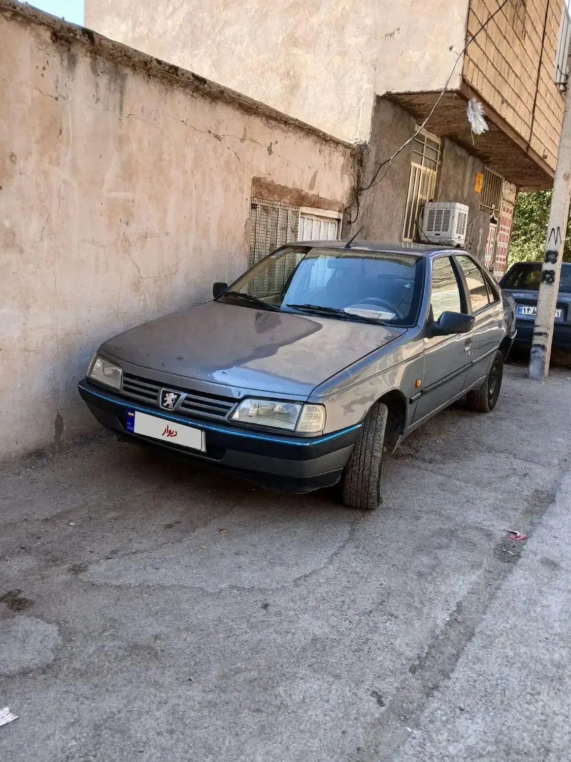 پژو 405 GLX - دوگانه سوز - 1393
