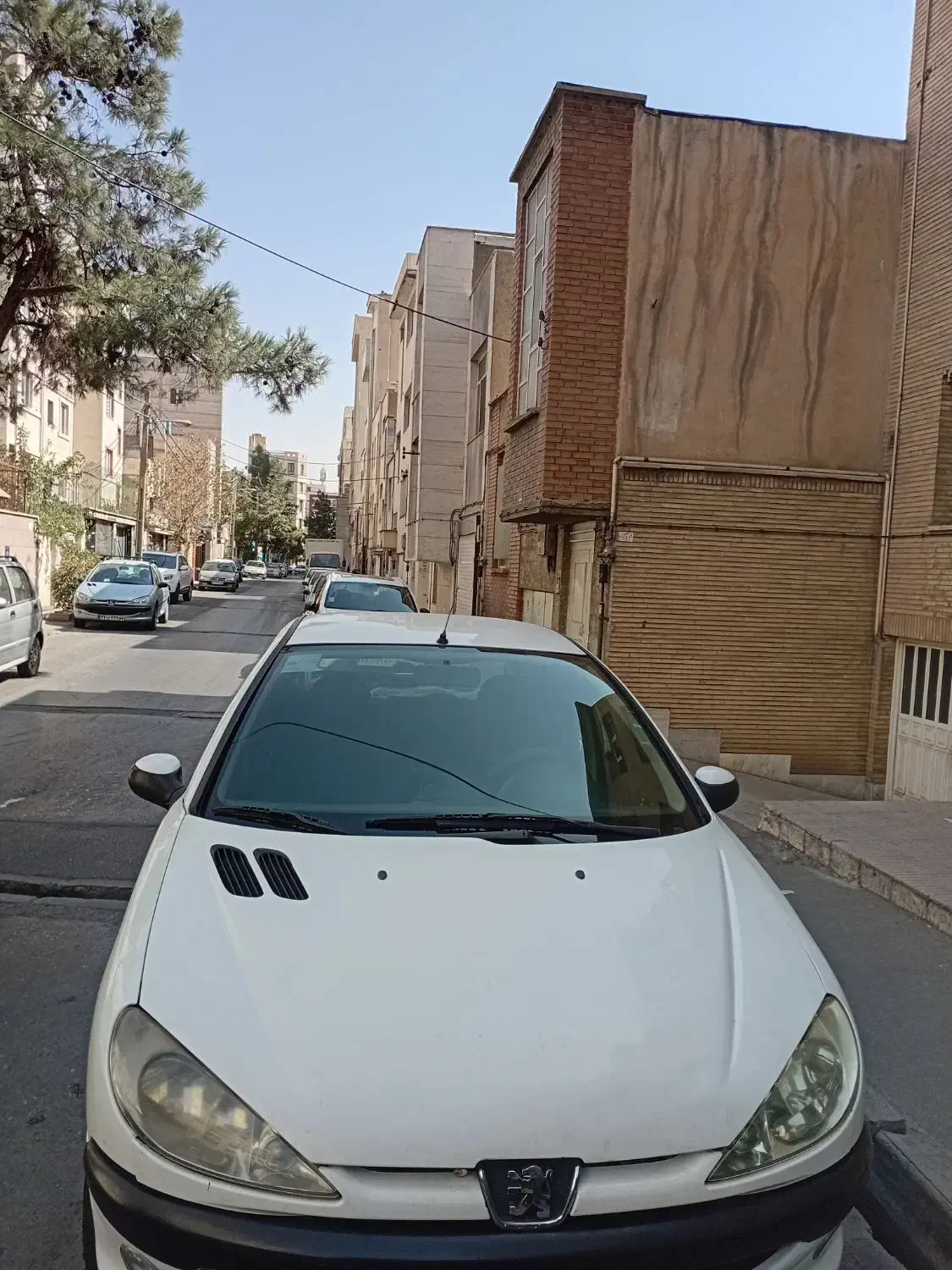 خودرو پژو، 206 آگهی ann_20859120