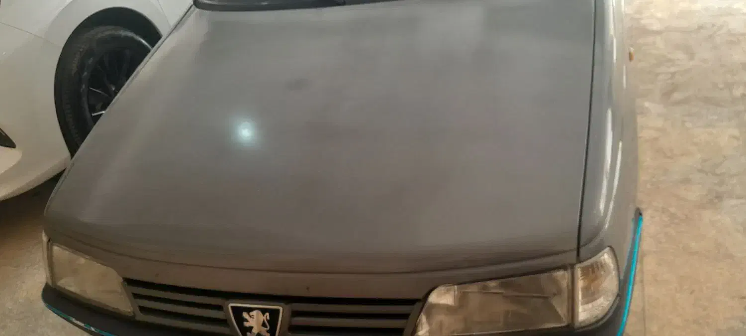 پژو 405 GLX - دوگانه سوز - 1390