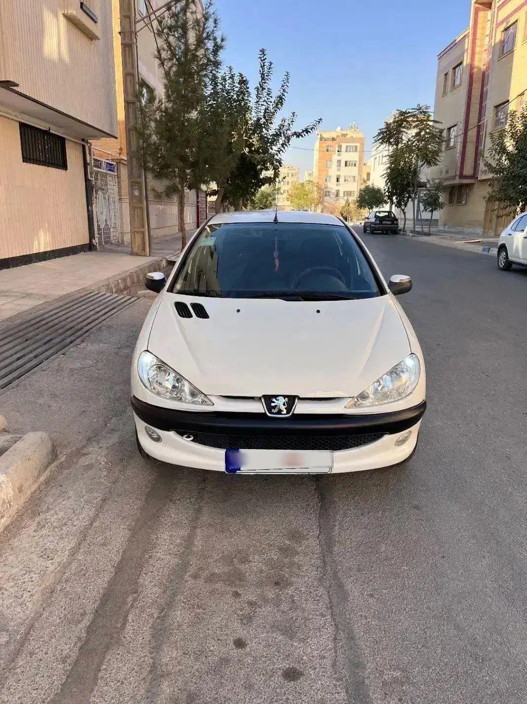 پژو 206 تیپ 2 - 1389