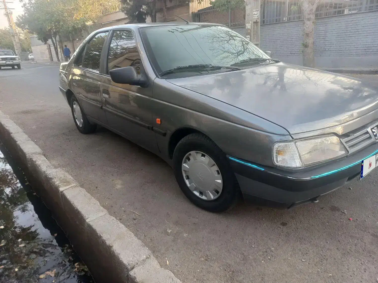 پژو 405 GLX - دوگانه سوز - 1394