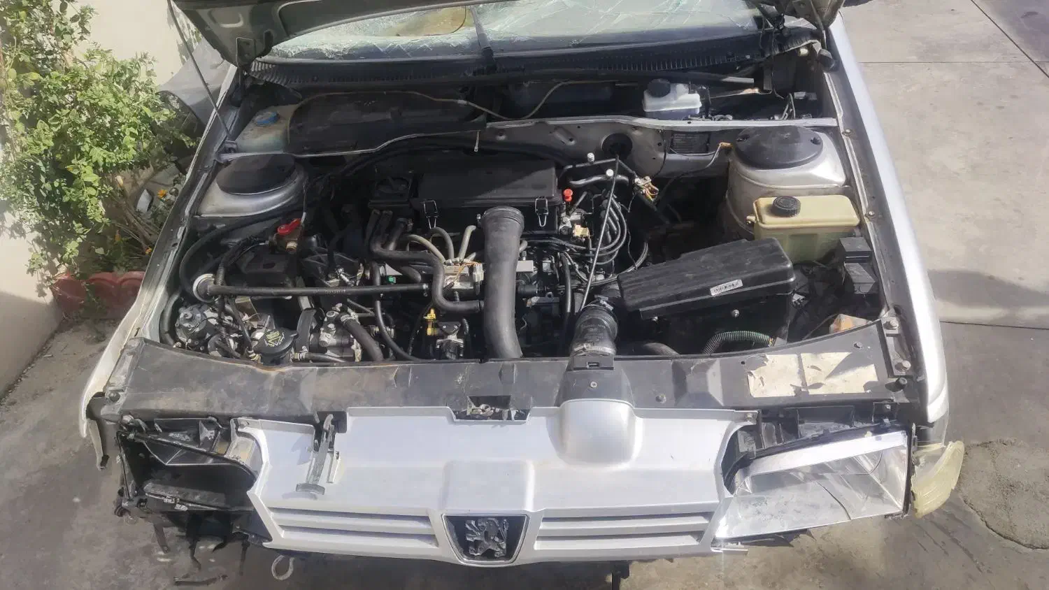 پژو 405 GLX - دوگانه سوز - 1390