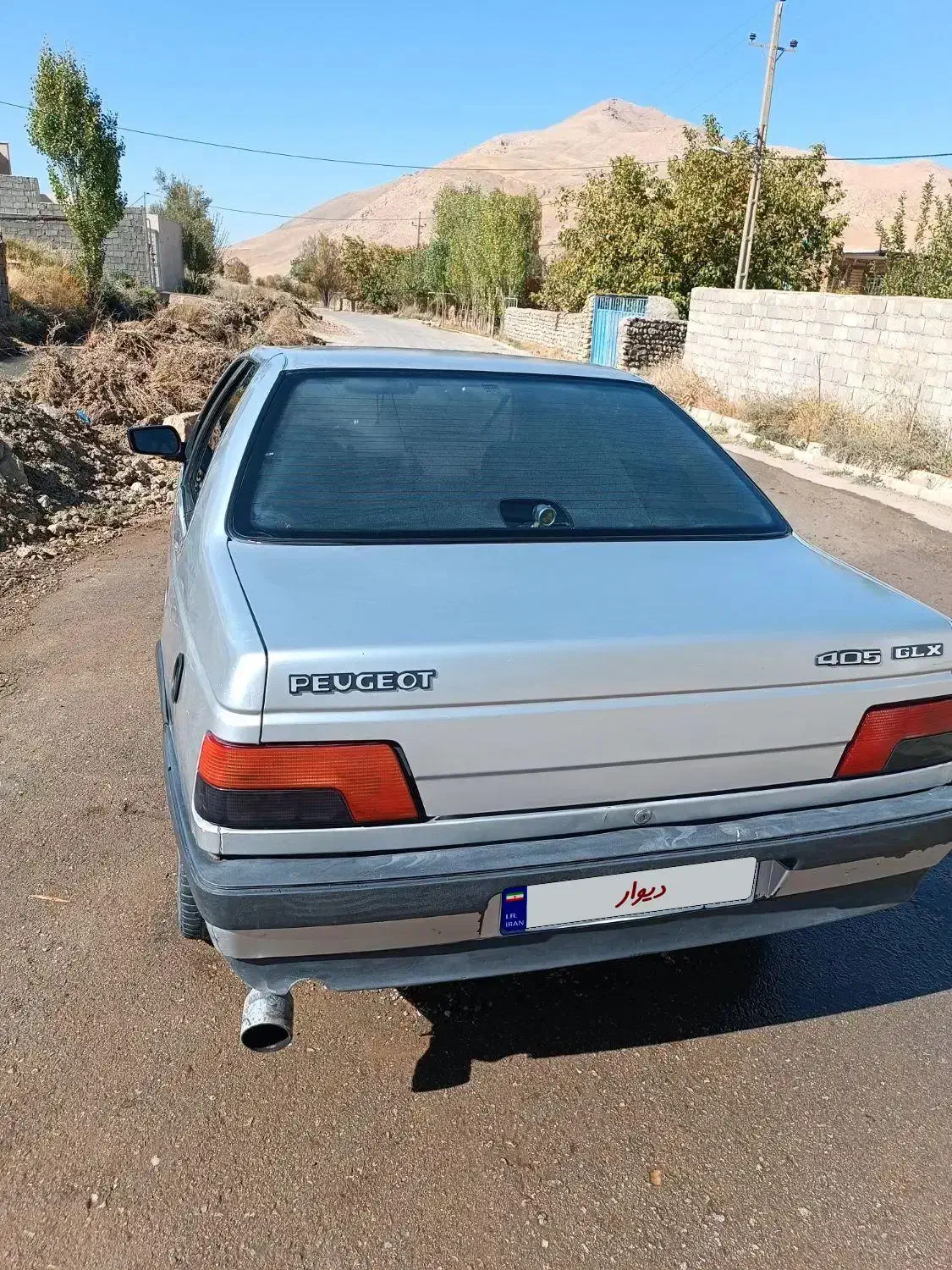 پژو 405 GLX - دوگانه سوز - 1394