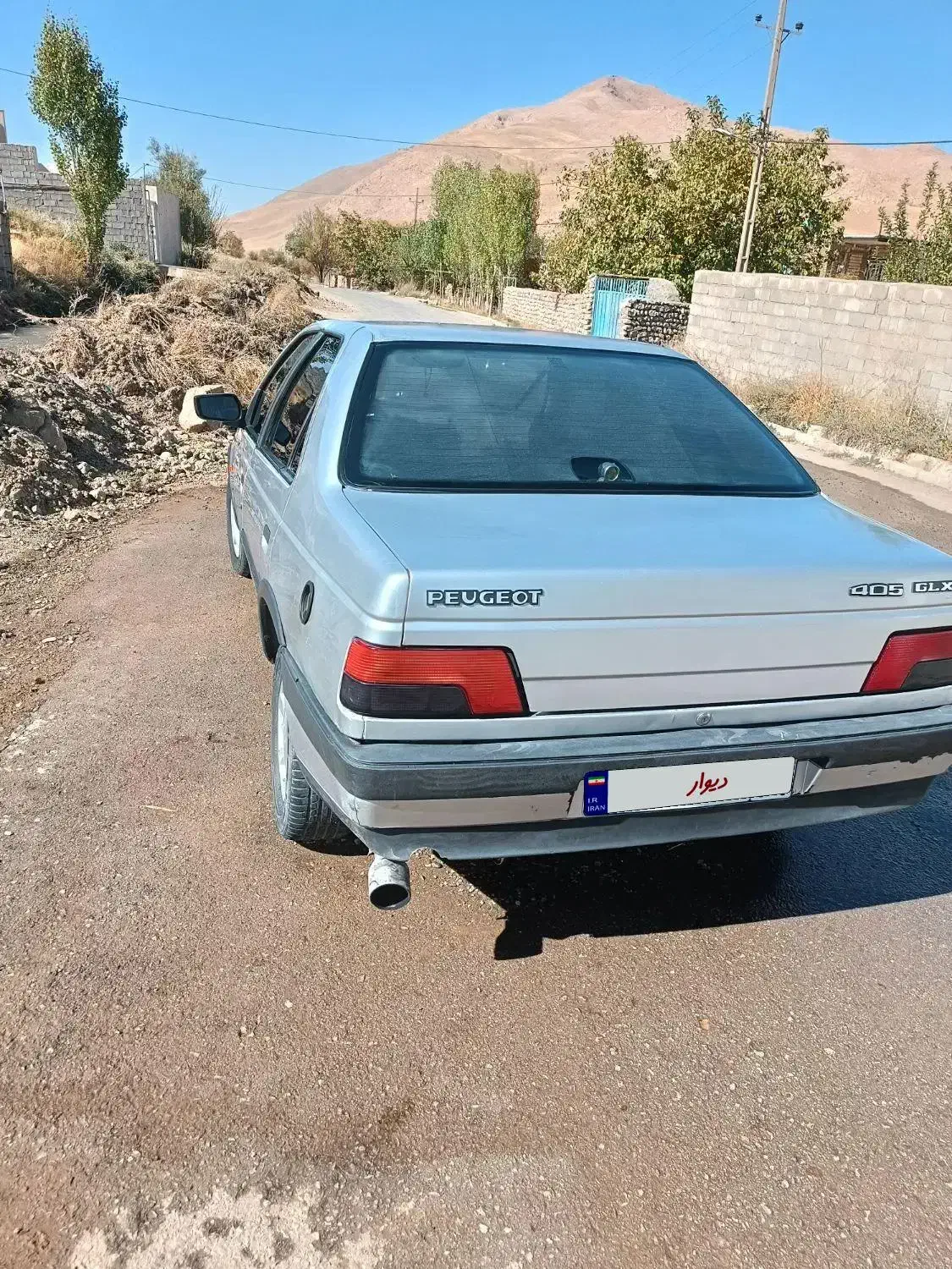 پژو 405 GLX - دوگانه سوز - 1394