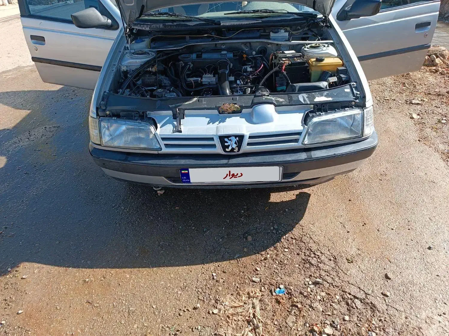 پژو 405 GLX - دوگانه سوز - 1394