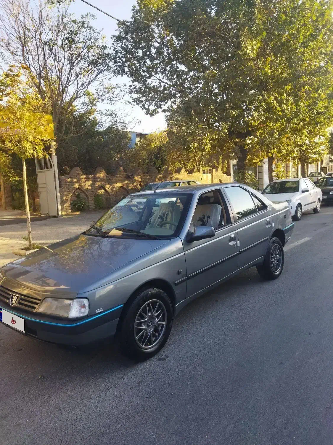پژو 405 GLX - دوگانه سوز - 1389