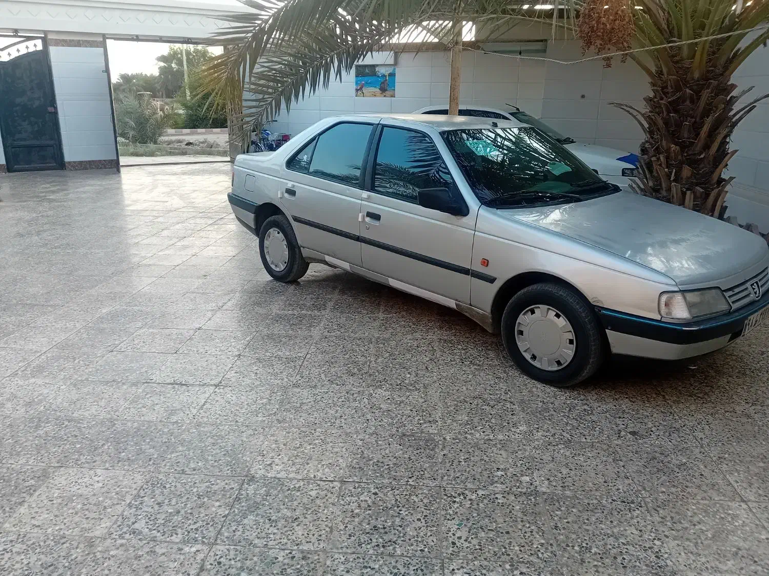 پژو 405 GLX - دوگانه سوز - 1393