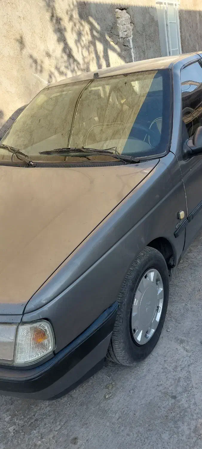 پژو 405 GLX - دوگانه سوز - 1390