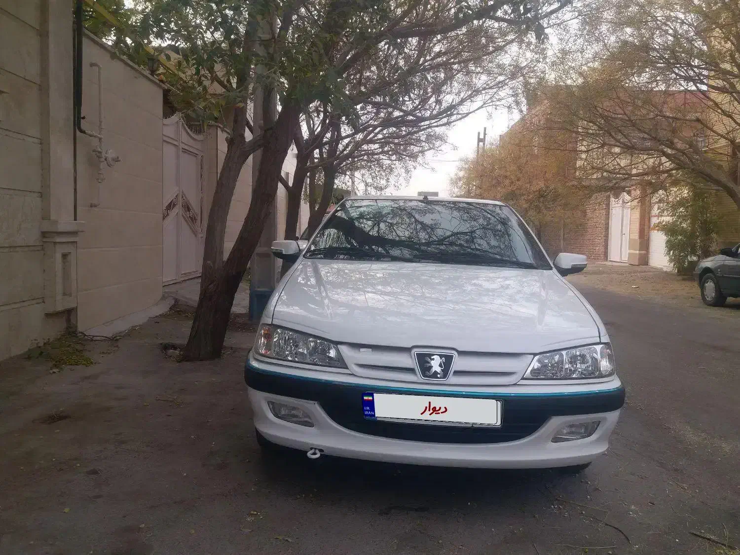 پژو پارس ELX-XU7P سفارشی - 1401