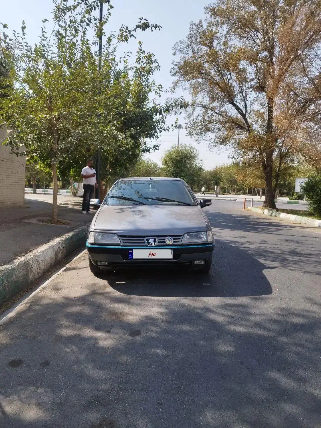پژو 405 GLX - 1391