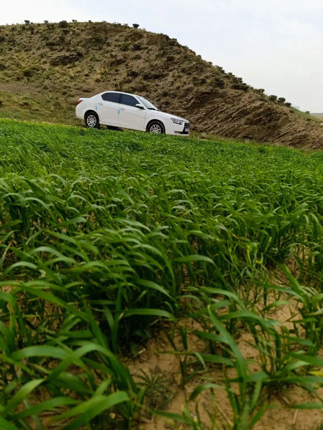 دنا پلاس ۶ دنده EF7p - 1403