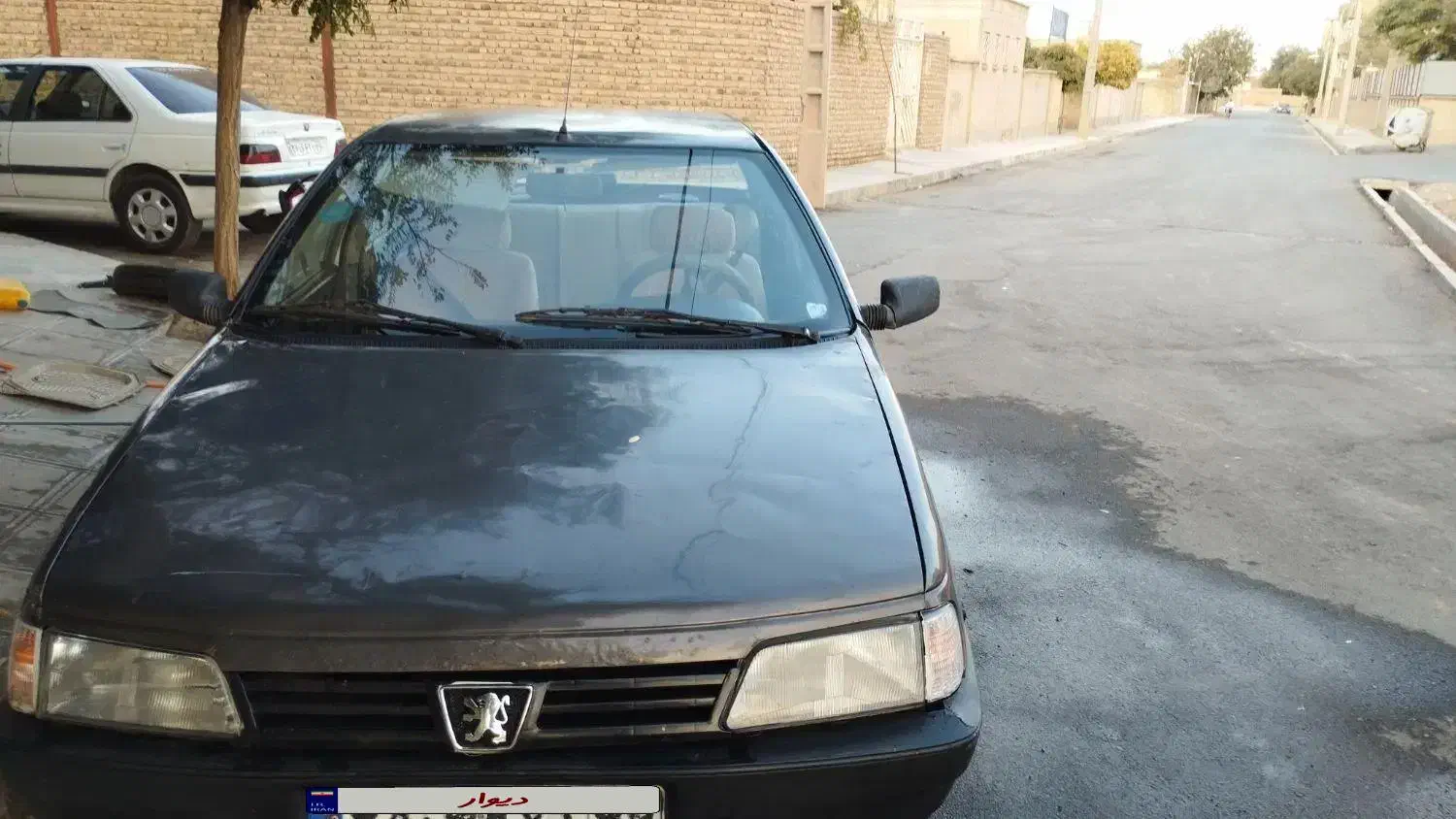 پژو روآ دوگانه سوز - 1387