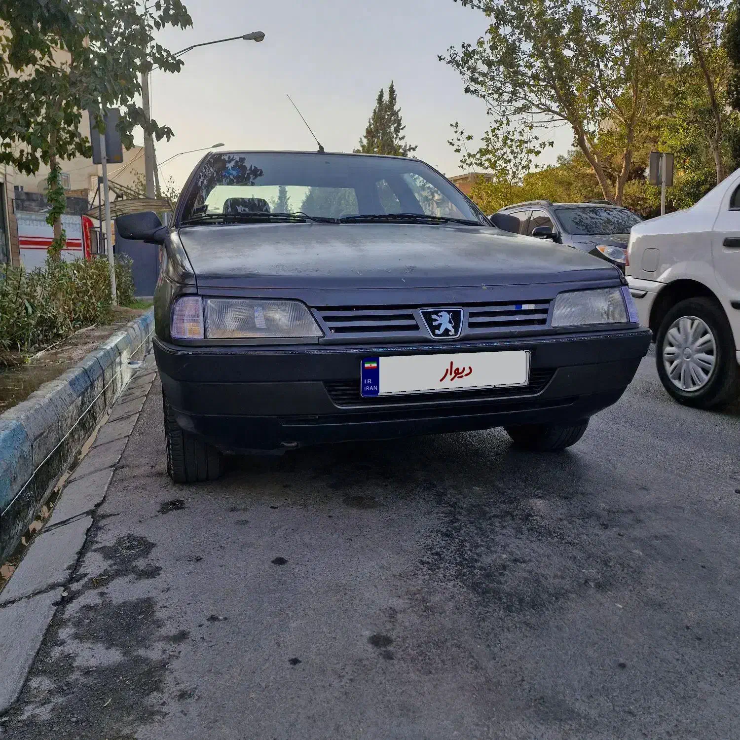 پژو 405 GLX - دوگانه سوز - 1381