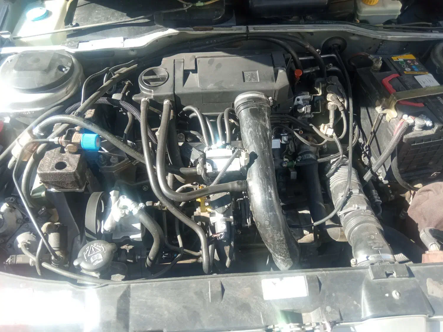 پژو 405 GLX - دوگانه سوز - 1390