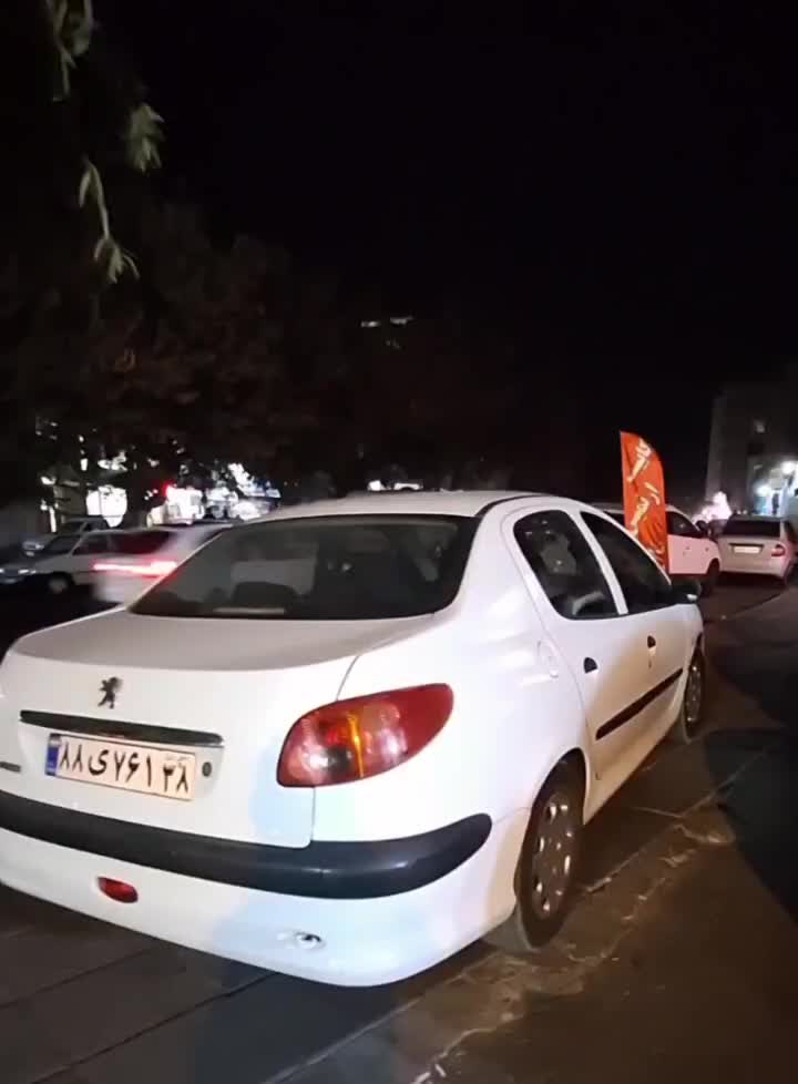 پژو ۲۰۶ صندوق دار v20 - 1388
