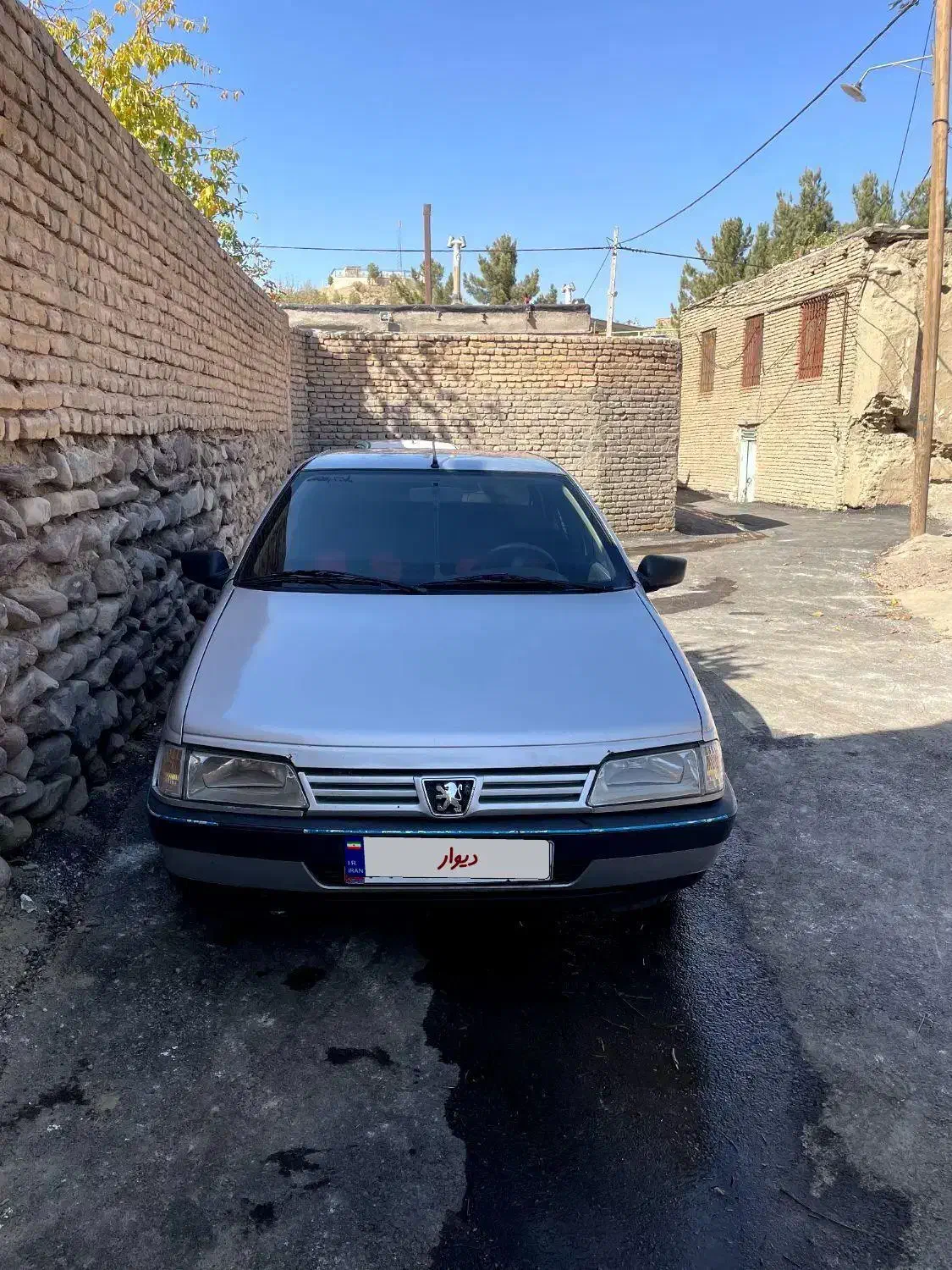 پژو 405 GLX - دوگانه سوز - 1386