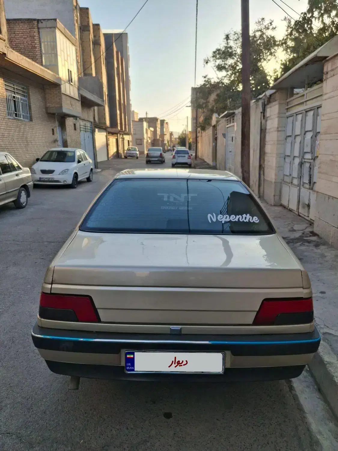 پژو 405 GLX - 1384