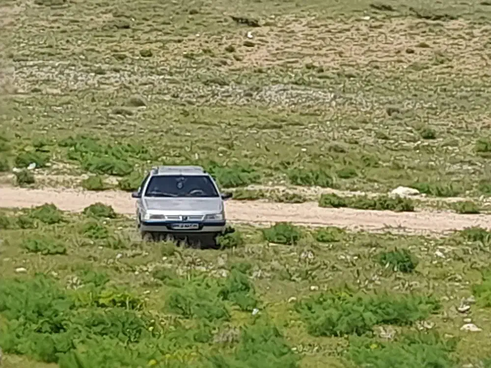 پژو 405 GLX - دوگانه سوز - 1389