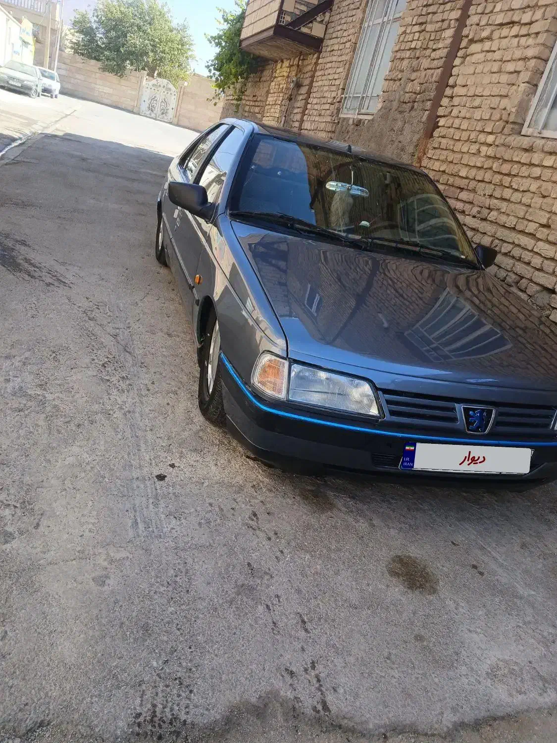 پژو 405 GLX - دوگانه سوز - 1393