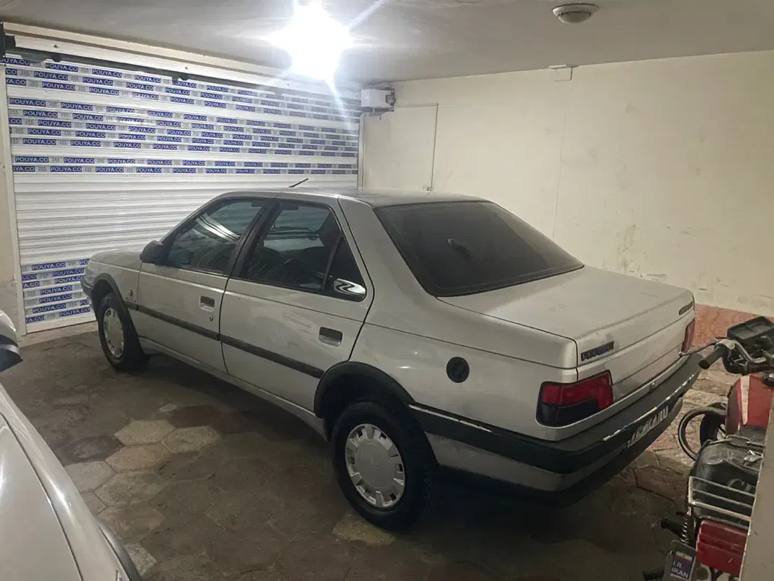 پژو 405 GLX - دوگانه سوز - 1391