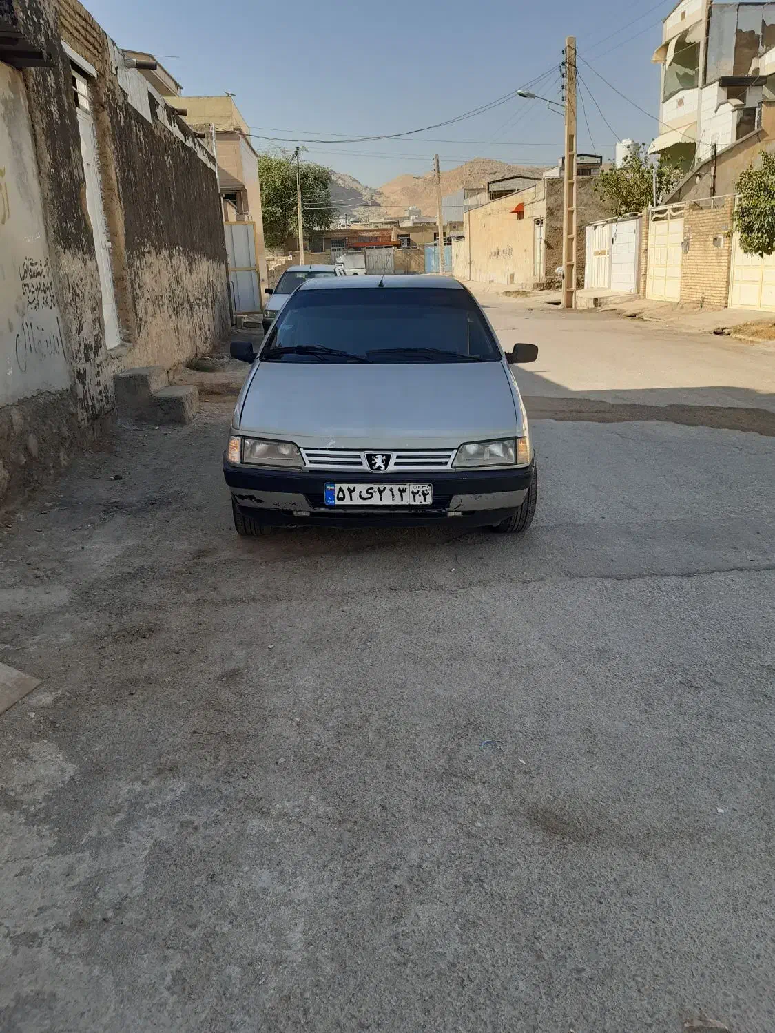 پژو 405 GLX - دوگانه سوز - 1389