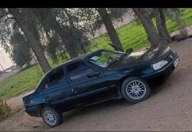 پژو 405 GLX - 1382