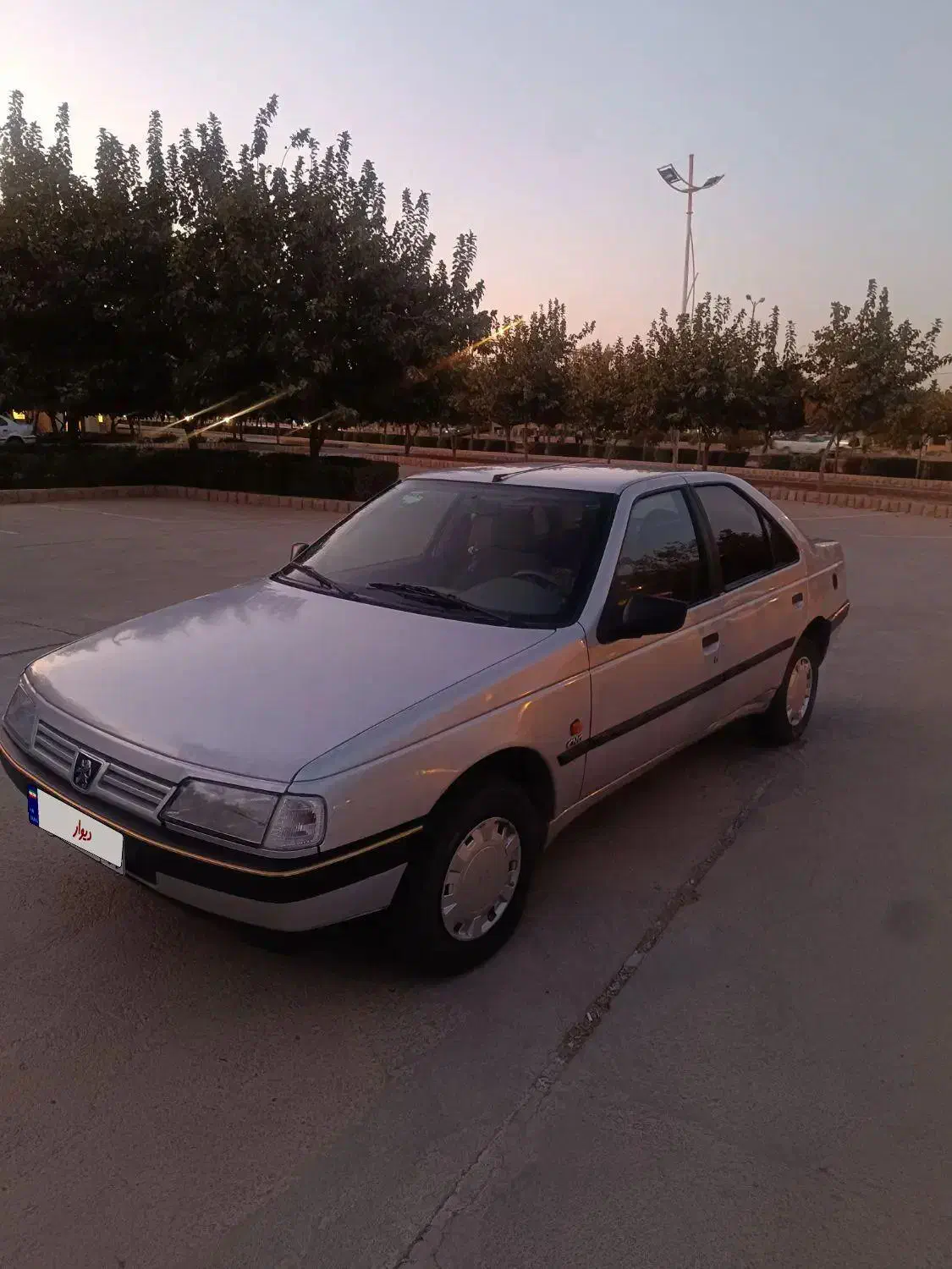 پژو 405 GLX - دوگانه سوز - 1395