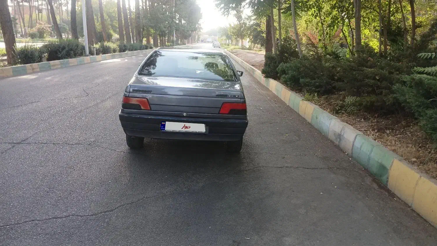 پژو 405 GLX - دوگانه سوز - 1395