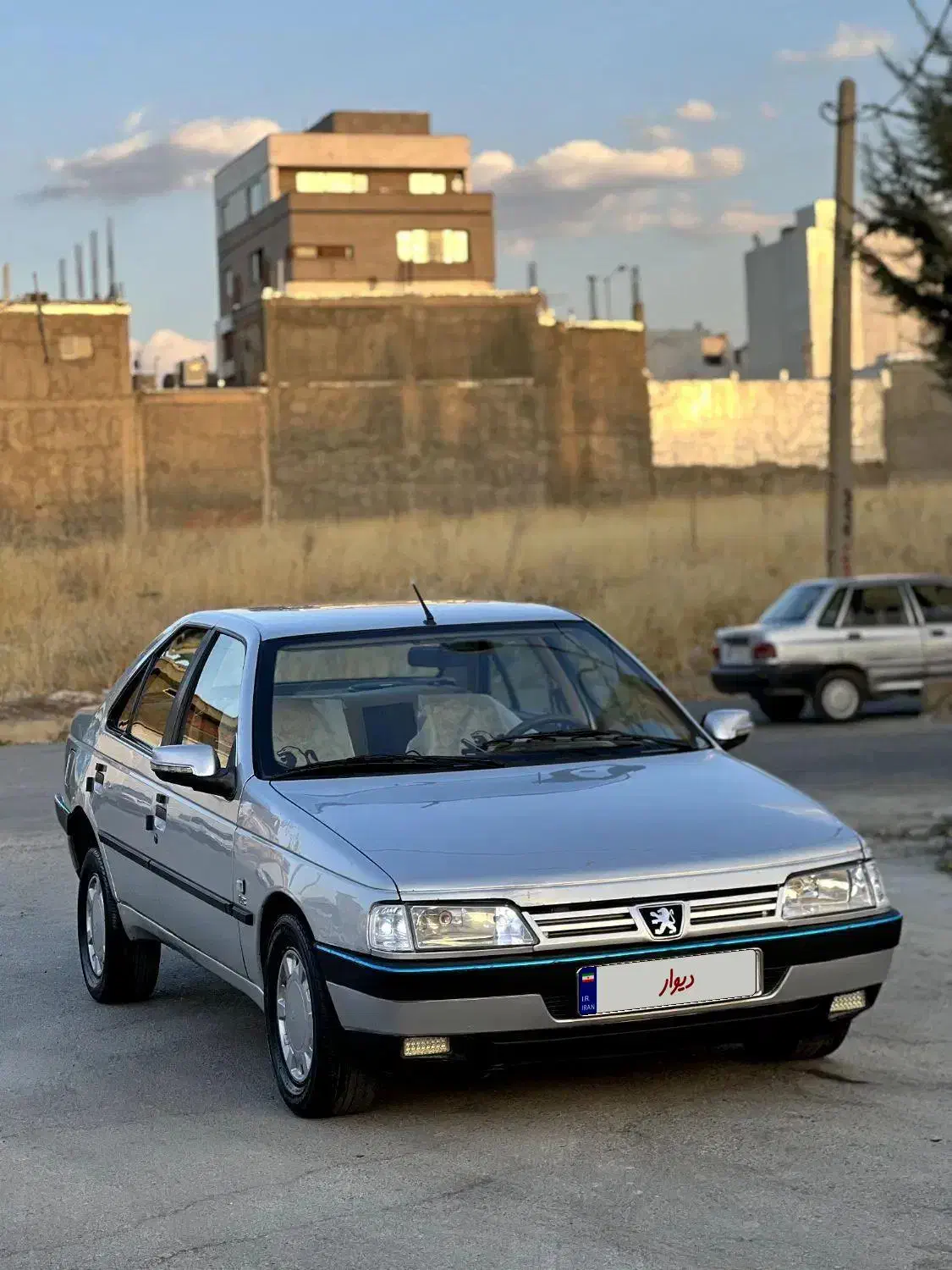 پژو 405 GLX - دوگانه سوز - 1391